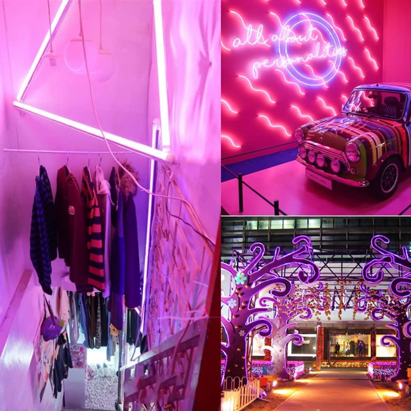 Rope Light Bundle 120 LED/m Pink – Flexible Decorative LED Rope Light for Home & Party Décor - Image 6