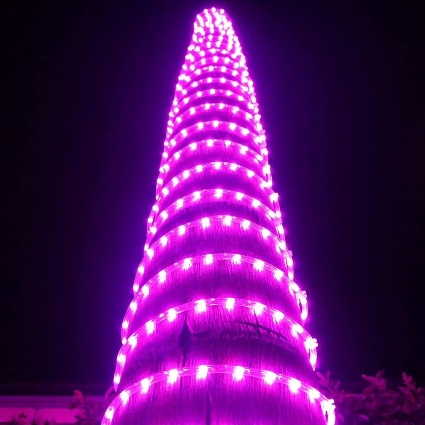 Rope Light Bundle 120 LED/m Pink – Flexible Decorative LED Rope Light for Home & Party Décor - Image 2